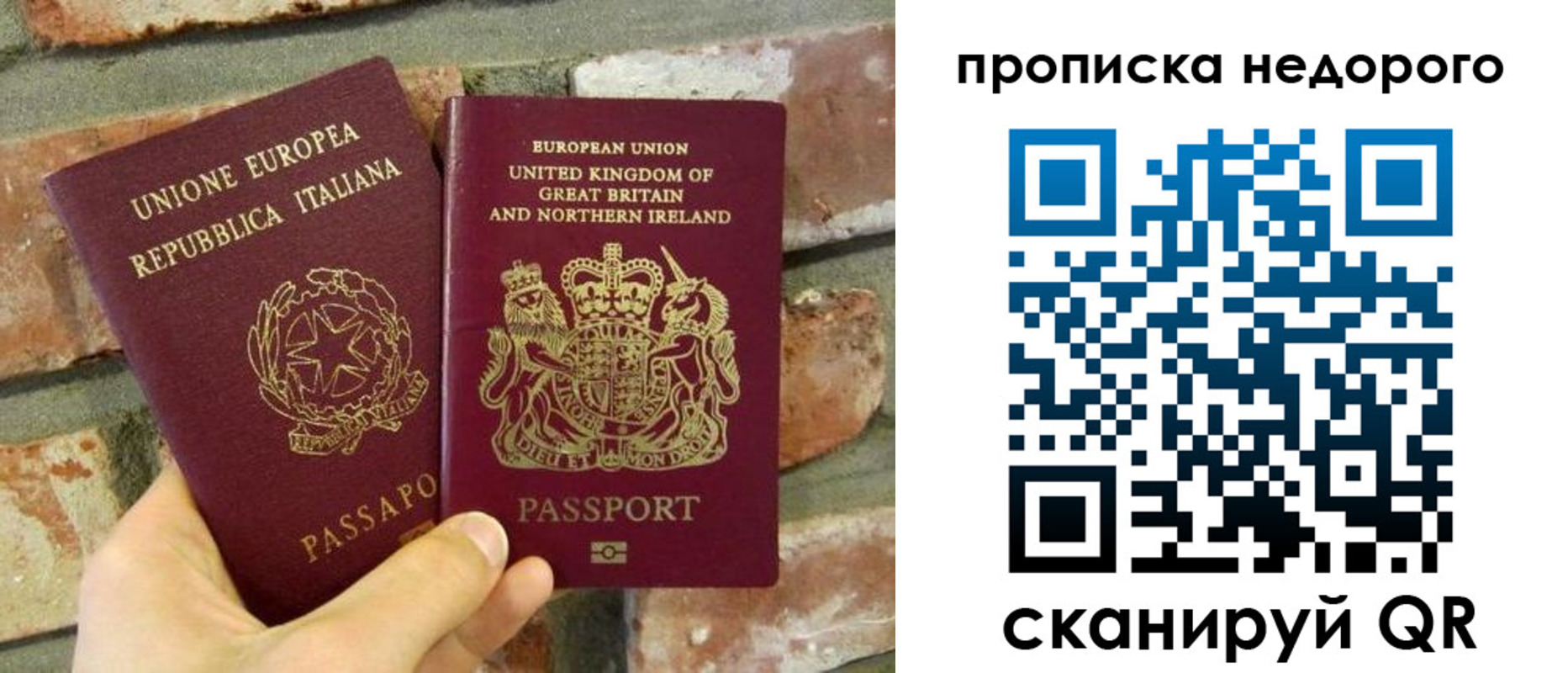 прописка поиск в Щёкино